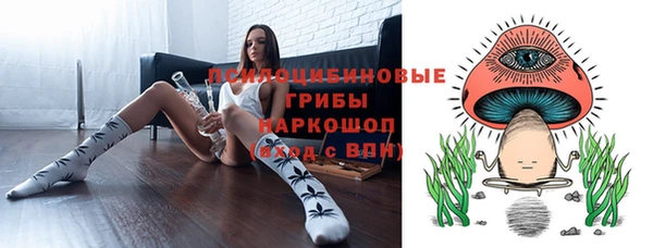индика Аркадак