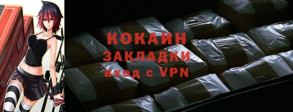 индика Аркадак