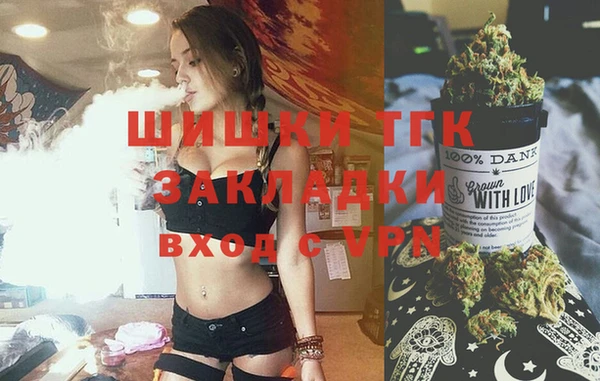 индика Аркадак