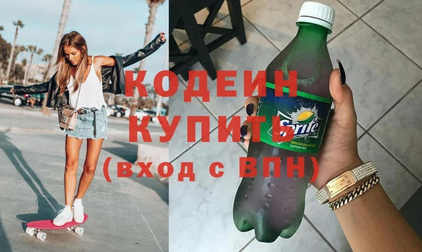 индика Аркадак