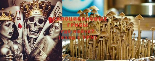 индика Аркадак