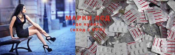 индика Аркадак