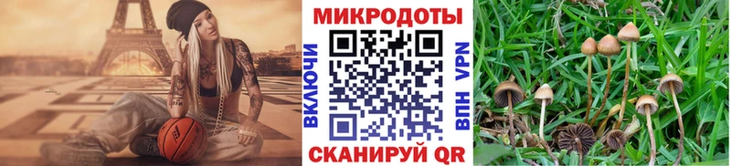 Галлюциногенные грибы Psilocybine cubensis  закладки  Фрязино 